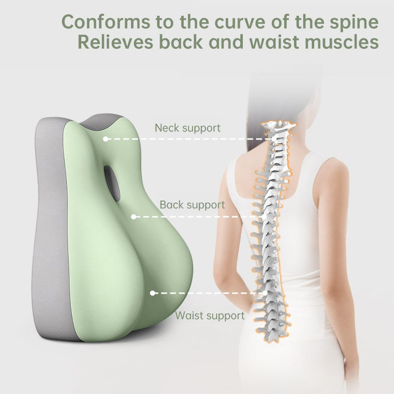 HexoRest Ergonomic Multipurpose Cushion for Butt, Pregnancy & Lumbar Support